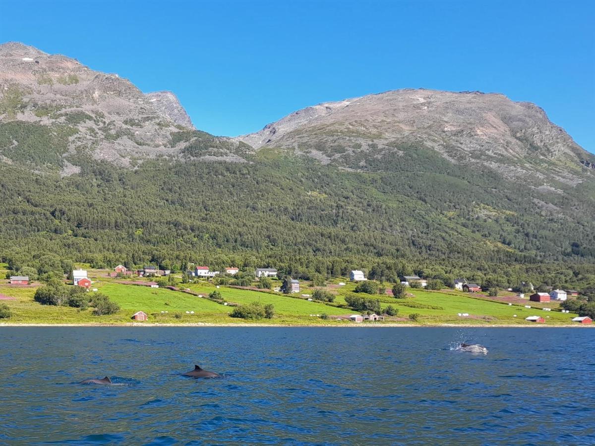 Olderdalen Ski Camp Exterior photo